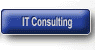 IT Consulting